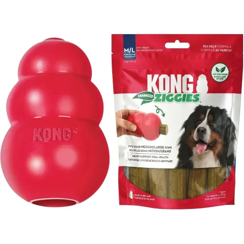 KONG Classic Toy and Enhanced Ziggies Treats Combo Pack