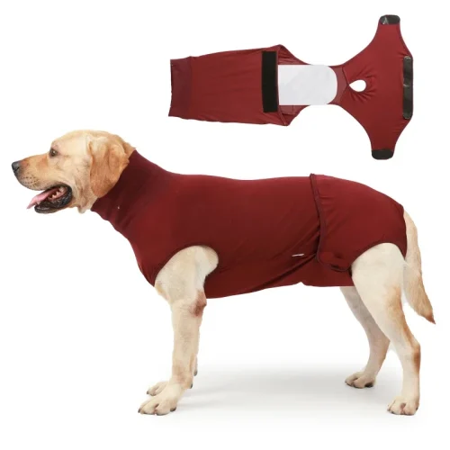 Recovery Suit for Dogs  After Surgery Dog Abdominal Wounds Bandages Prevent Licking Clothes